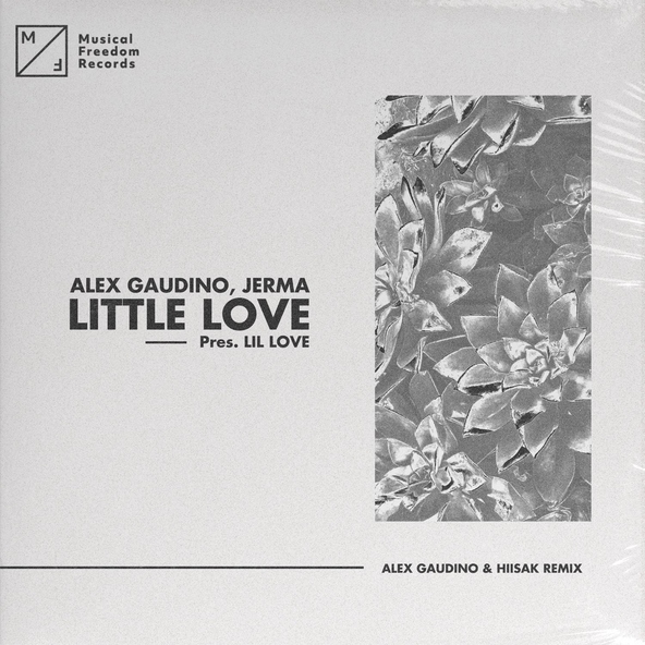 Alex Gaudino, Jerma - Little Love (pres. Lil' Love)