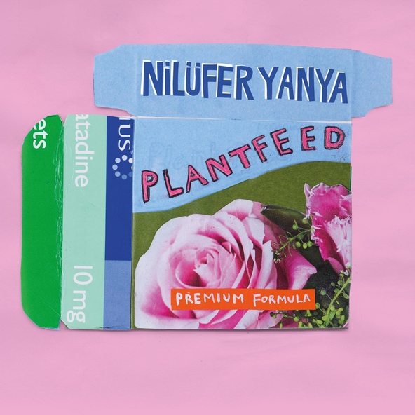 Nil&uuml;fer Yanya - Golden Cage