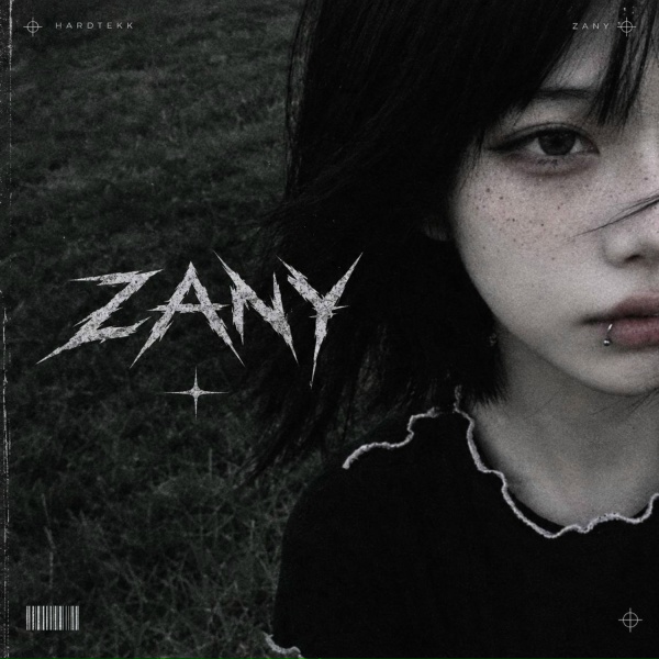 DJ SENSX, WiNDeiL, HRXSTAL - zany