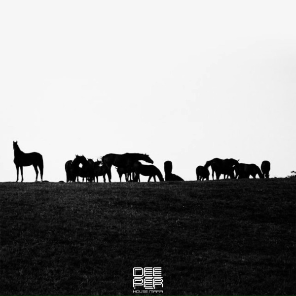 Dieez - From Paris