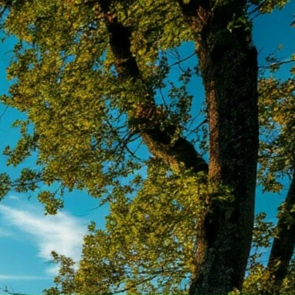 merzopakost - я хочу чтоб ты на меня села