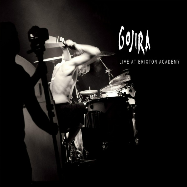 Gojira - Wisdom Comes