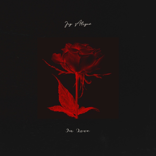 Jay Aliyev - In Love