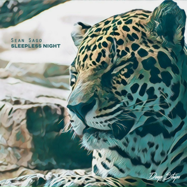 Sean Sago - Sleepless Night