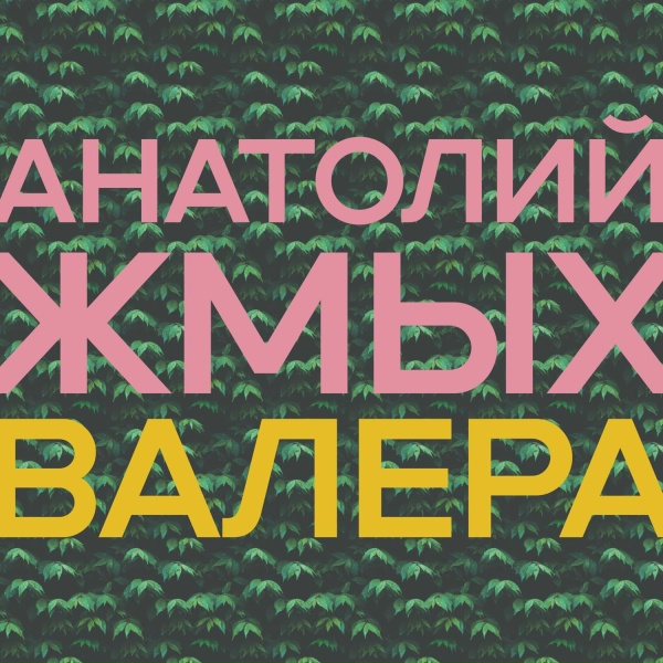 Анатолий Жмых - Валера