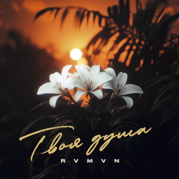 Rvmvn - Твоя душа