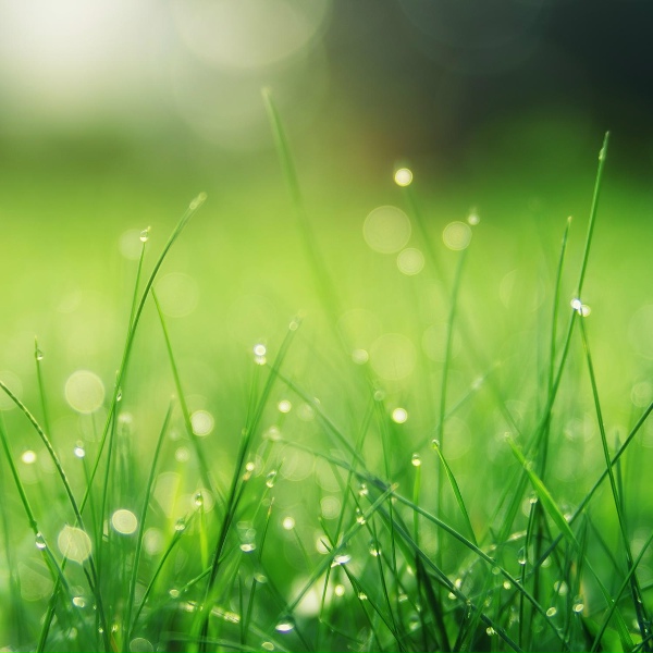 Relaxing Nature Music, Childrens Music, Relaxation - Soft Rain Melody
