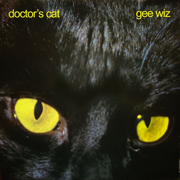 Doctor's Cat - Doctor's Cat Melody