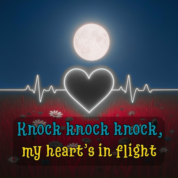 DIANAMusic, MusicLand - Knock Knock Knock, My Heart&rsquo;s in Flight