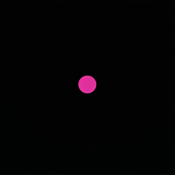 PinkFox - 4AM