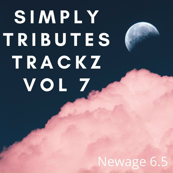 Newage 6.5 - Have Mercy (Tribute Version Originally Performed By Chlöe) [Explicit]