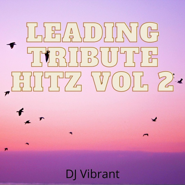 DJ Vibrant - Sweet Caroline (Tribute Version Originally Performed By Neil Diamond)