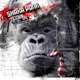 Shaka Ponk - Story O' My LF