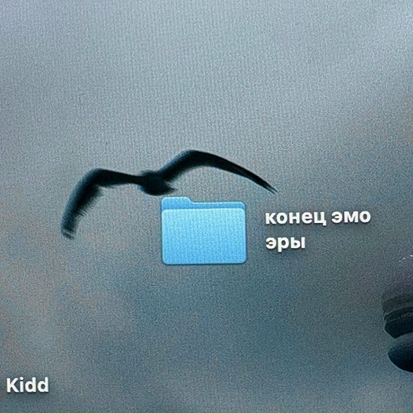 Kidd - vision