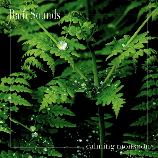 Rain Sounds - Peaceful Storm