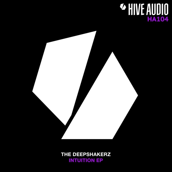The Deepshakerz - Intuition