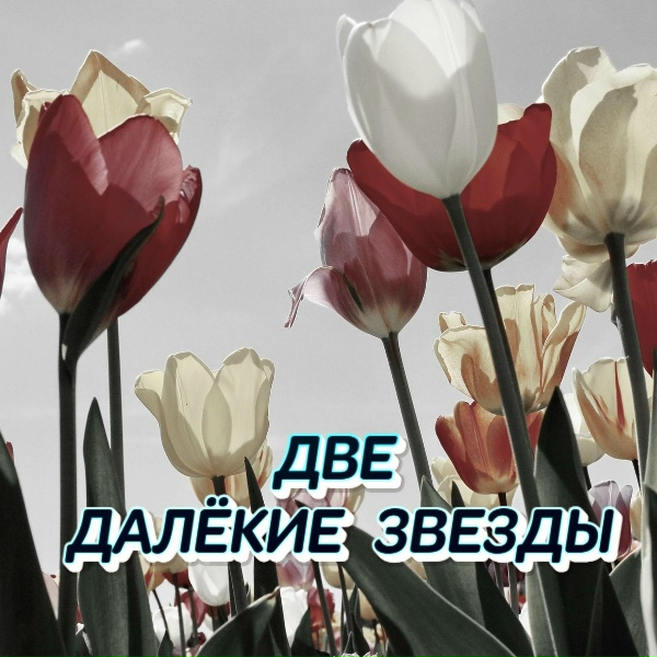 Сергей Грищук - ДВЕ ДАЛЁКИЕ ЗВЕЗДЫ