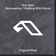 Nox Vahn - Walking With Giants (Extended Mix) (Extended Mix)