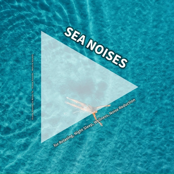 Ocean Sounds to Relax To, Ocean Sounds, Nature Sounds - Beach Waves Noises Sleep Trigger