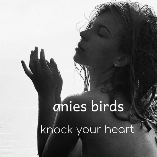 anies birds - Computer Game Hero