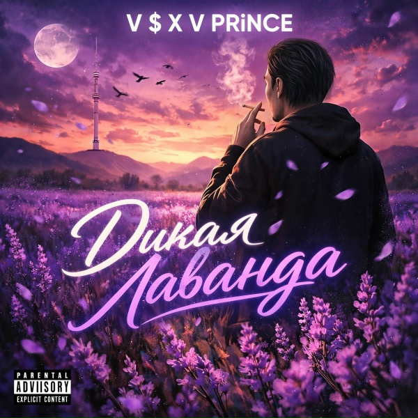 V $ X V PRiNCE - Дикая Лаванда