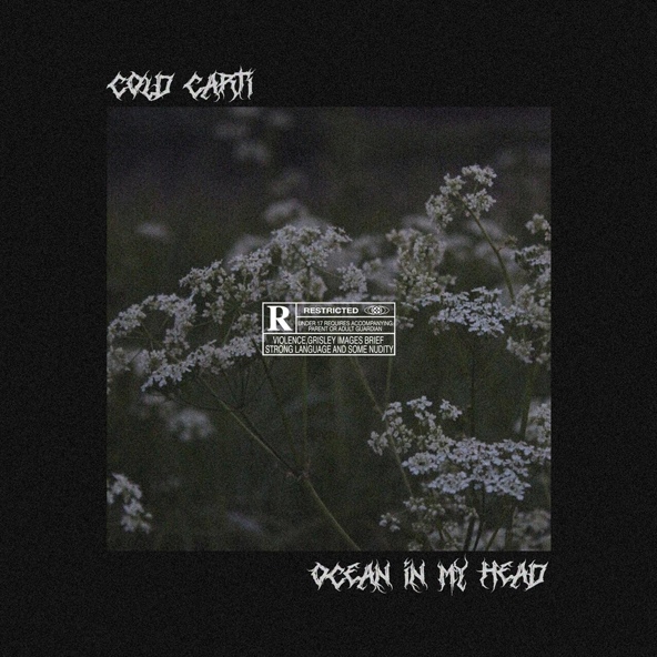 cold carti - пока все спят.