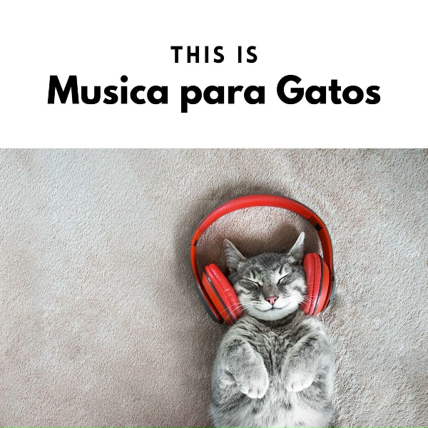 Musica para Gatos - Amor y Cari&ntilde;o