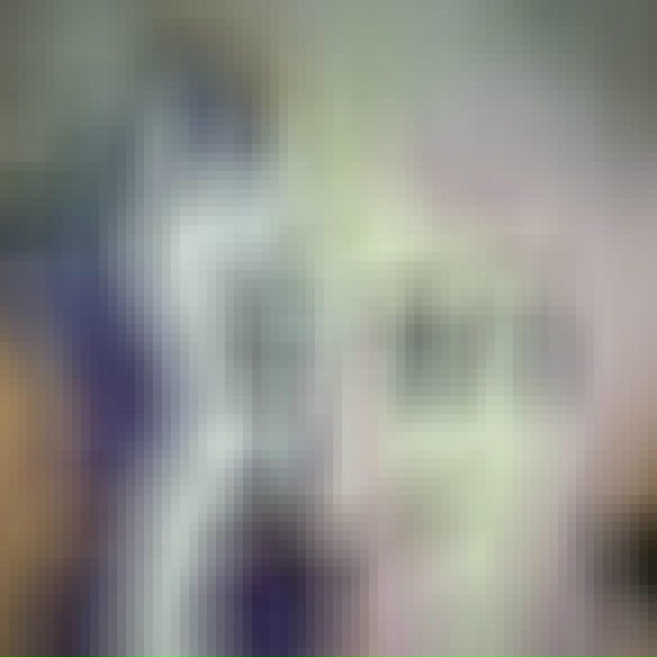 exn1te - pheromone