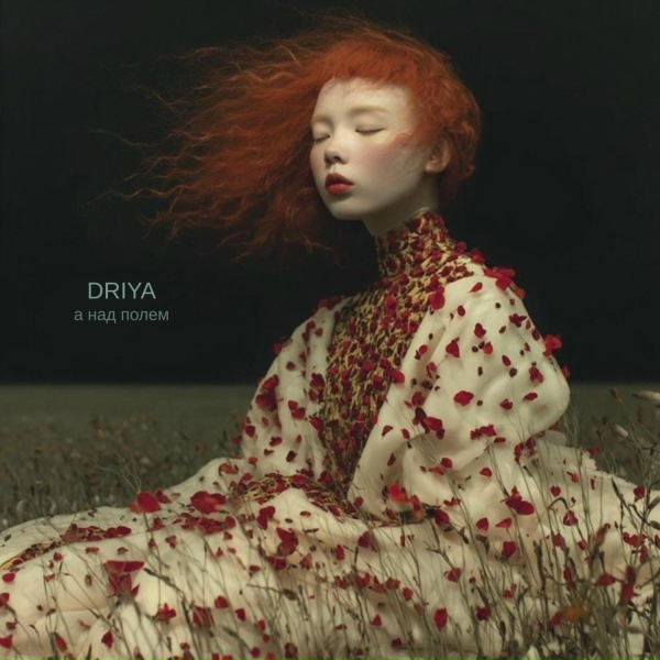 DRIYA - а над полем