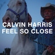 Calvin Harris - Feel So Close (Radio Edit) (Radio Edit)
