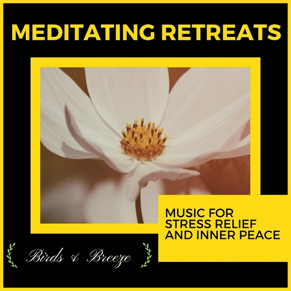 Yogsutra Relaxation Co - Soul And Love