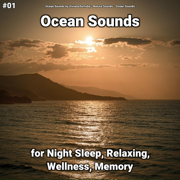 Ocean Sounds by Viviana Fernsby, Nature Sounds, Ocean Sounds - Ocean Sounds Part 68