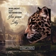 RoelBeat, SevenEver - You Gonna Stay (Original Mix) (Original Mix)