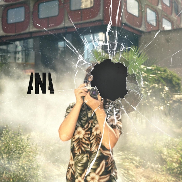 ANA - Faux