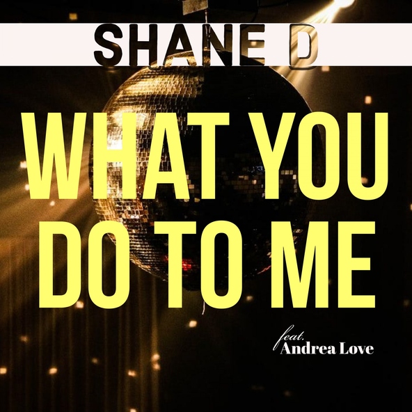 Shane D feat. Andrea Love - What You Do to Me