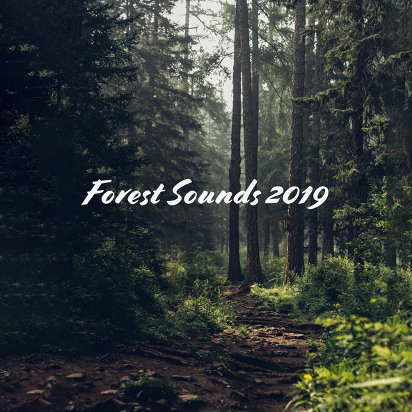 Forest Hills Music Universe, Serenity Nature Sounds Academy, Rainforest - Sad Rainy Day