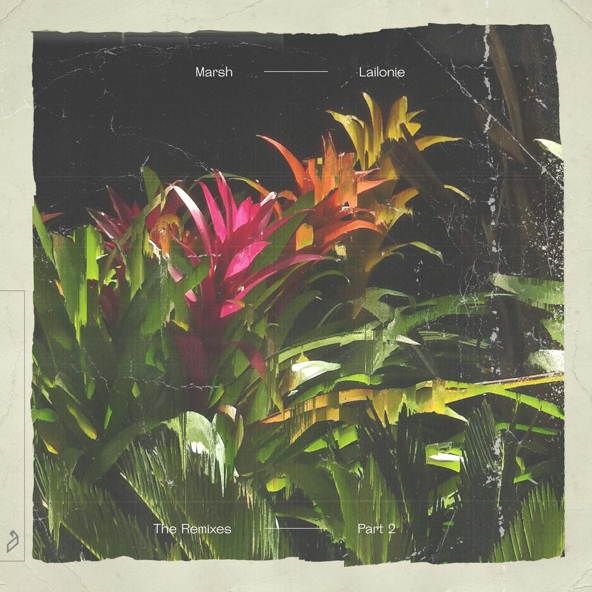 Marsh - Florence