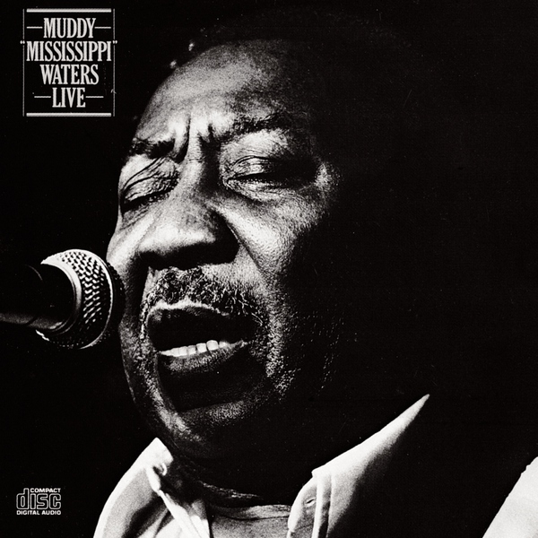 Muddy Waters - Nine Below Zero