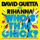 David Guetta - Who's That Chick? (feat. Rihanna) (Instrumental) (Instrumental)