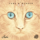 Tube & Berger Feat. J.U.D.G.E. - Disarray (Original Mix)