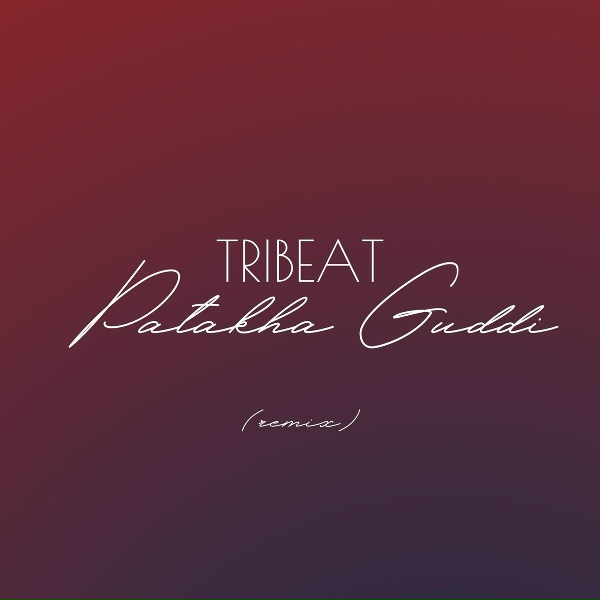 Tribeat - Patakha Guddi (Remix)