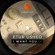 Etur Usheo - Want To (Original Mix) (Original Mix)