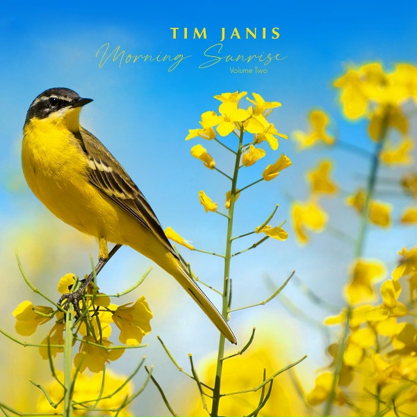 Tim Janis - We Gather Together