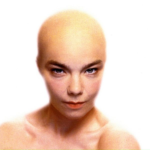 Bj&ouml;rk - So Broken