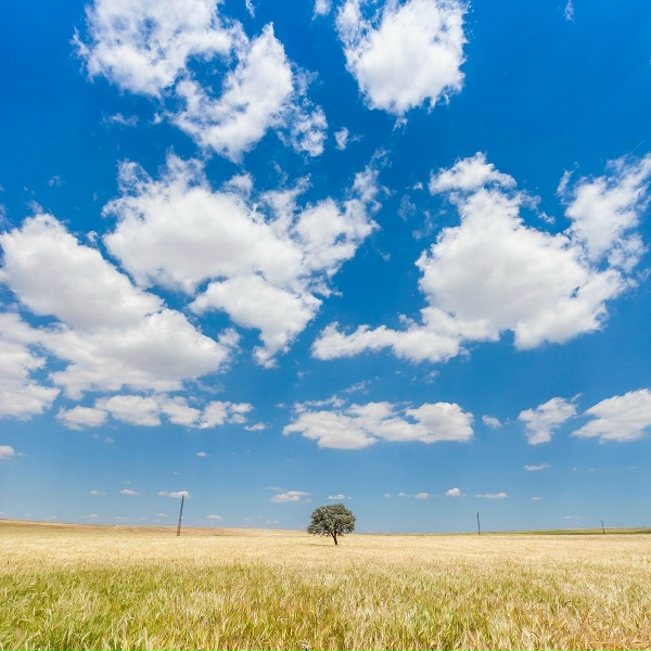 Mindfulness Mediation World, Relaxed Minds, The Sleep Specialist - Smooth Raindrops