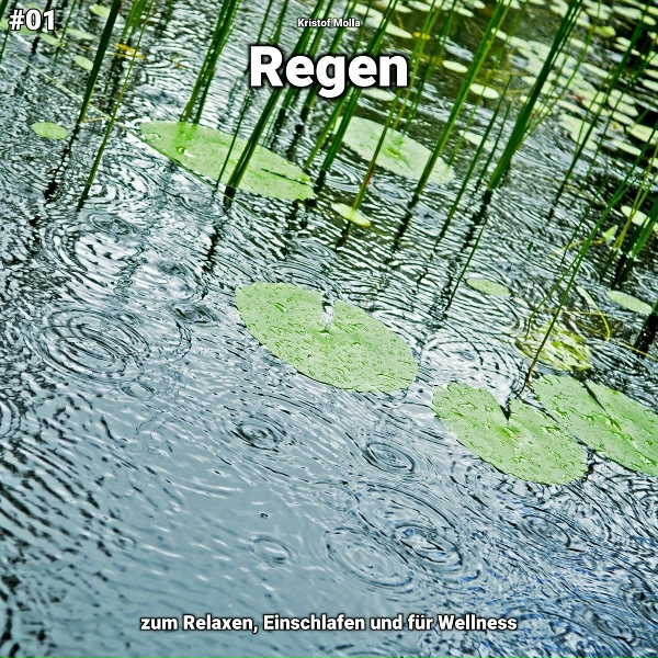 Kristof Molla - Regen, pt. 12