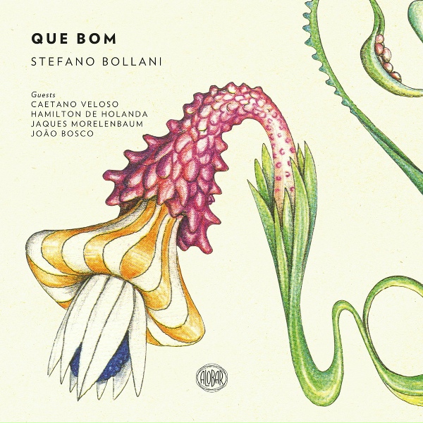 Stefano Bollani - Ravaskia