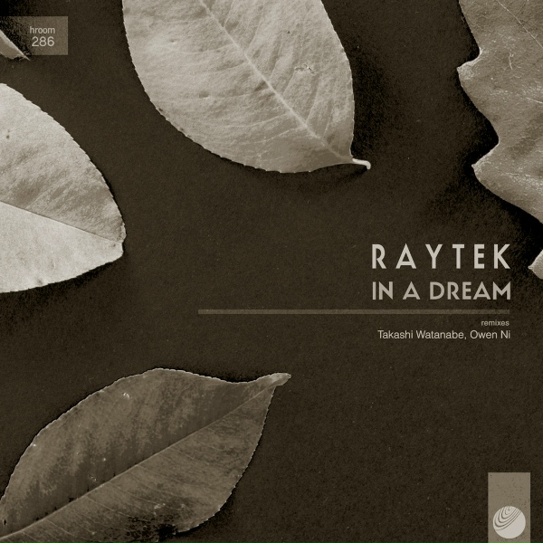 Raytek - Mind Game