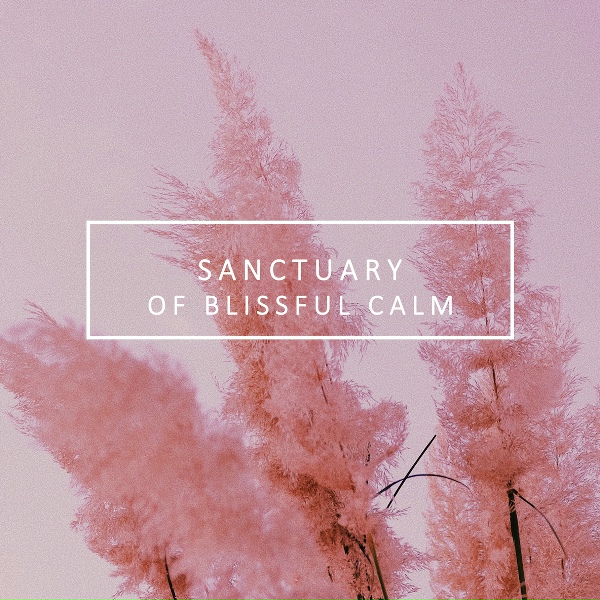 Nature Sounds Artists, Calming Music Ensemble, Relax musica zen club - Sounds of Desert Wind