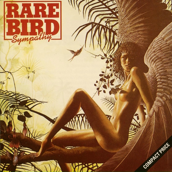 Rare Bird - Bird On A Wing